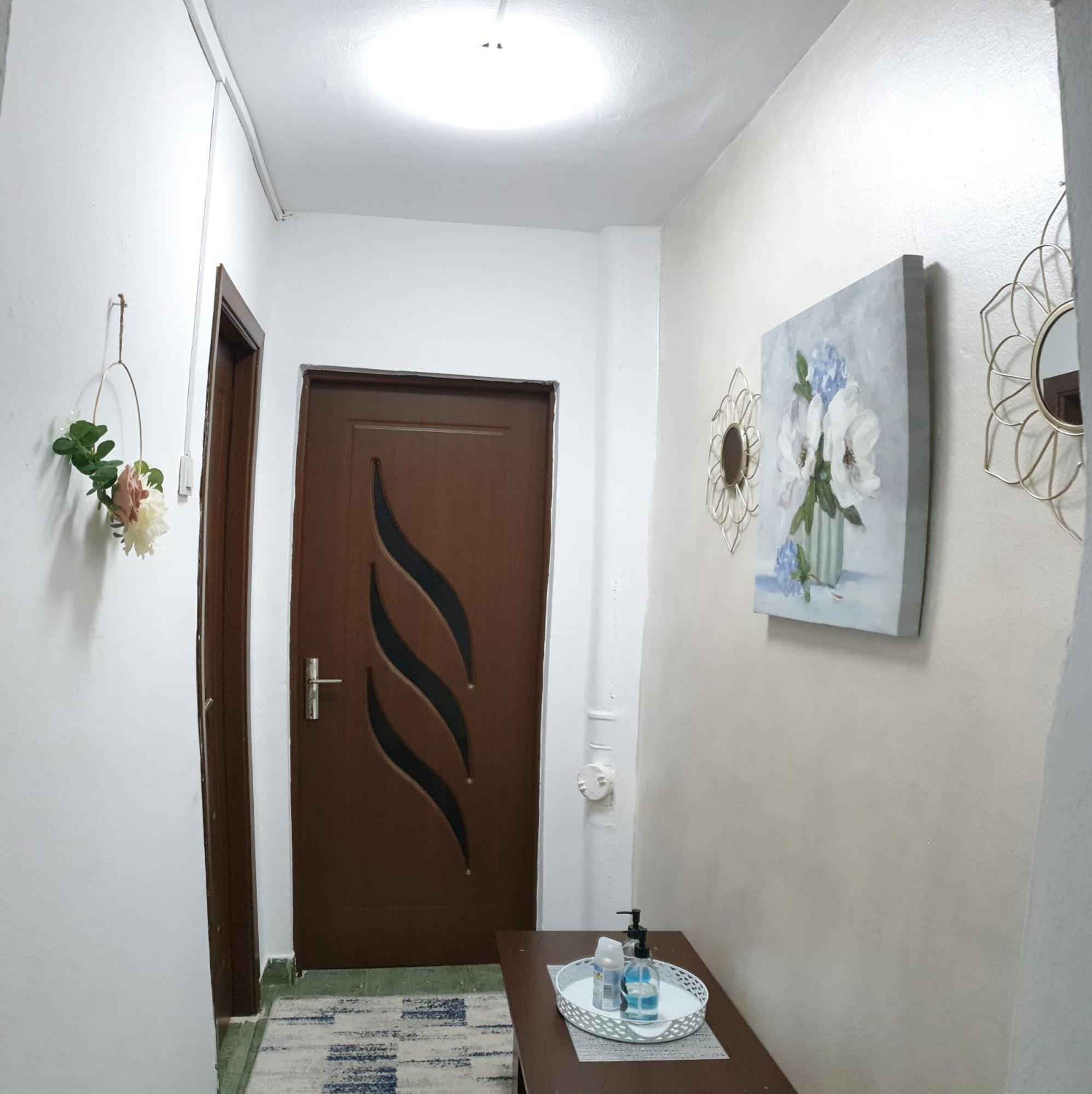Appartement Elena à Orşova Extérieur photo